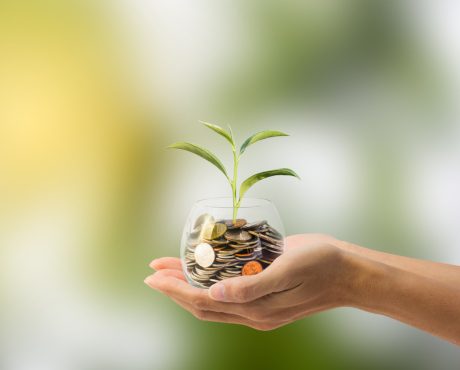 Saving, Investment concept. Hand holding Coin in a glass jar with growing tree with green nature as background. Conceptual save money for the future.