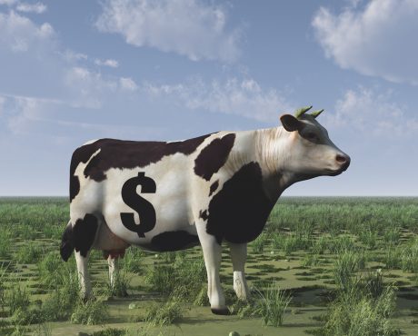 3 Cash Cow Dividend Stocks That Yield Up to 21%