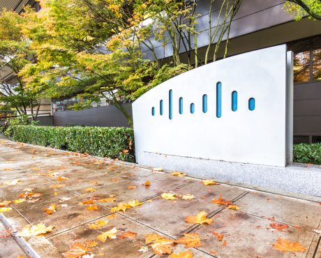 Cisco Systems, Inc. Earn Growing Dividends from a Tumbling Tech Stock