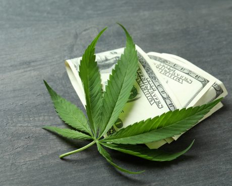 REFI Stock: Market-Crushing U.S. Pot Stock Pays Reliable 11.8%-Yield Dividends