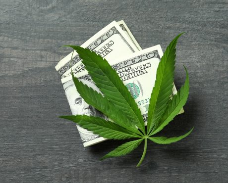 AFC Gamma Stock: 19.5%-Yielding Cannabis REIT Has 118% Upside